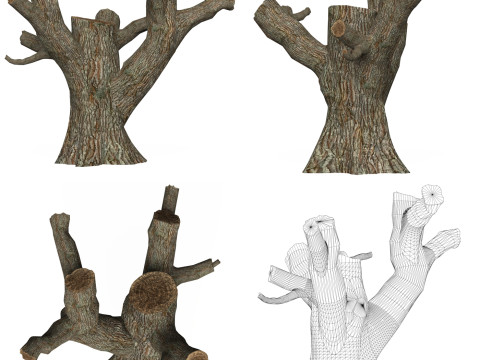 Game Ready Dead Tree Collection Modelo 3D