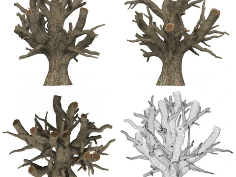 Collezione di alberi morti pronta per il gioco Modello 3D