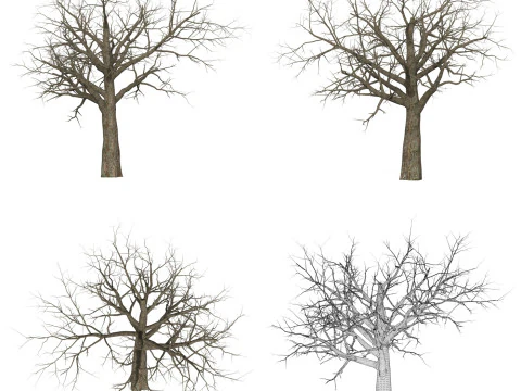 Collezione di alberi morti pronta per il gioco Modello 3D