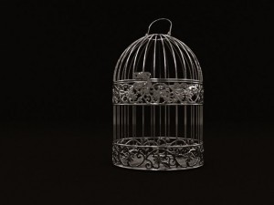 birdcage Modèle 3D
