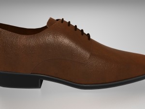 shoe Model 3D