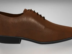 shoe 3D Model