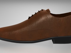 shoe Model 3D