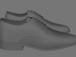 shoe 3D Model