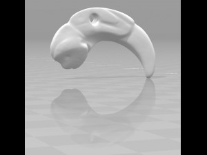 manatee amulet Modelo 3D