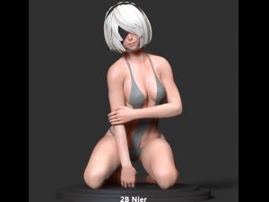 2b - nier Modelo de impresión 3D
