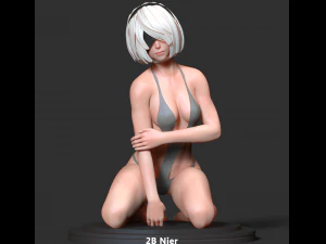 2b - nier 3D Print Model