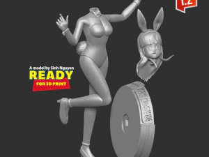 Bulma - Dragon Ball Fanart 3D Print Model