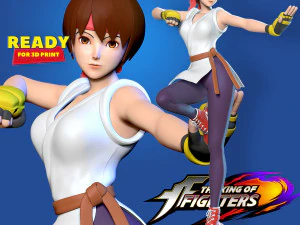 юрій саказакі - король бійців фанарт 3D Принт Модель