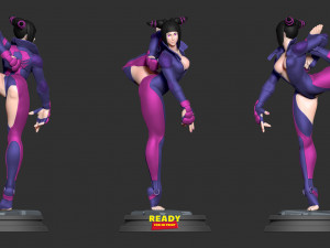 juri han - street fighter fanart 3D Druckmodell