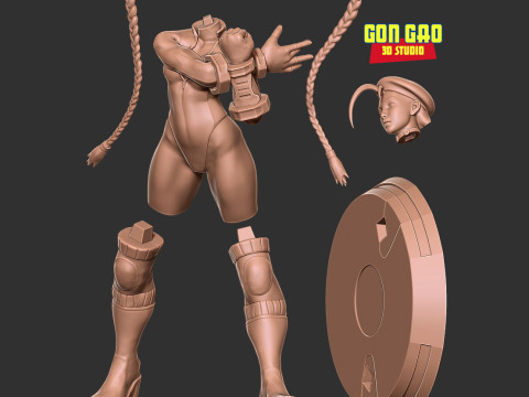Blue cammy - street fighter Modello di stampa 3D
