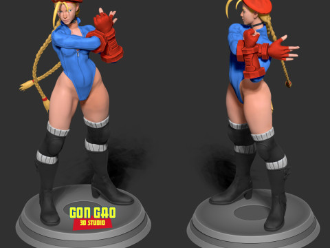 Blue cammy - street fighter Modello di stampa 3D