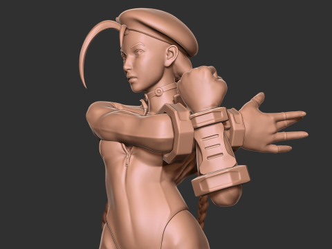 Blue cammy - street fighter Modello di stampa 3D