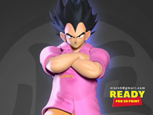 V&eacute;g&eacute;ta - m&eacute;chant Modèles 3D en vedette