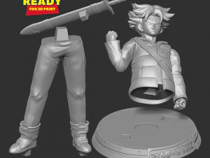 Come on baby - Trunks 3D Print Model