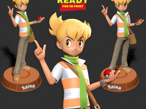 Barry - Pokemon Fanart 3D Print Model