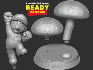 The Super Mario Bros 3D 打印模型