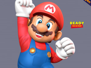 The Super Mario Bros 3D 打印模型