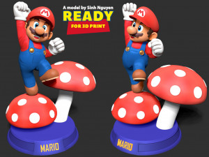 The Super Mario Bros 3D 打印模型