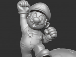 The Super Mario Bros 3D 打印模型