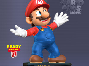 The Super Mario Bros Movie Fanart 3D Print Model