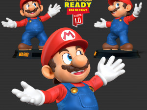 The Super Mario Bros Movie Fanart 3D 打印模型