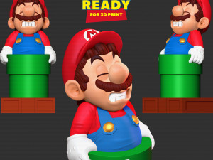 Mario is stuck in a pipe 3D Print Model