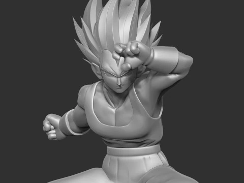 Vegeta took a defensive stance 3D Print Model