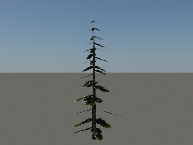 pine tree Modelo 3D .c4d .max .obj .3ds .fbx .stl .blend 
