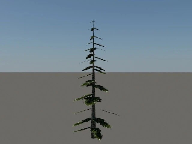 pine tree 3D Model .c4d .max .obj .3ds .fbx .stl .blend 