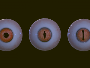 Eyeballs pack 3Dモデル