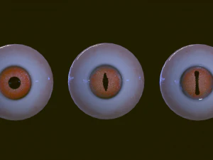Eyeballs pack 3D Model