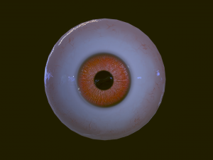 Eyeballs pack 3Dモデル