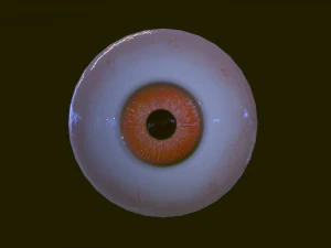 Eyeballs pack 3D Model