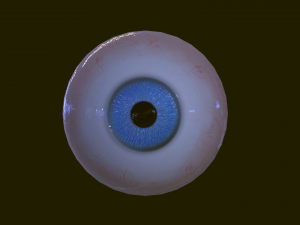 Eyeballs pack 3Dモデル