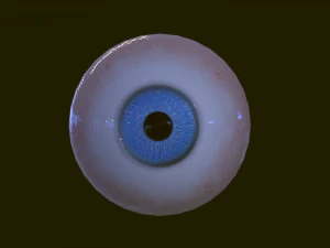 Eyeballs pack 3D Model