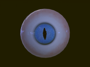 Eyeballs pack 3Dモデル