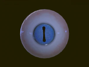 Eyeballs pack 3D Model