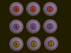 Eyeballs pack 3Dモデル