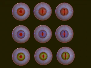 Eyeballs pack 3D Model