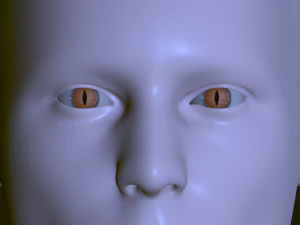Eyeballs pack 3D Model