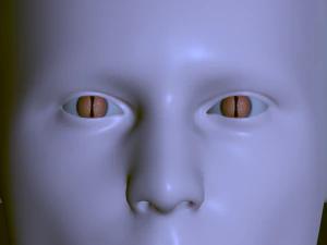 Eyeballs pack 3D Model