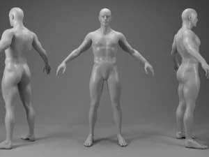 Kit de malha base de personagem Modelo 3D