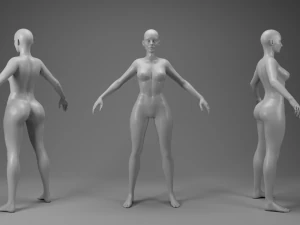 Kit de malha base de personagem Modelo 3D