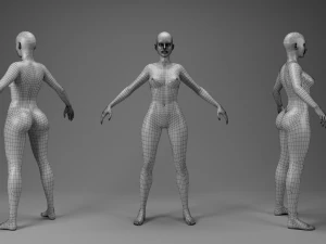 Kit de malha base de personagem Modelo 3D