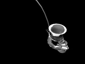 german pipe 3D Model