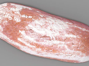 pane di segale Modello 3D