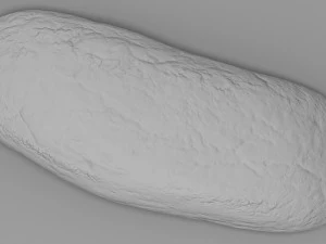 pane di segale Modello 3D