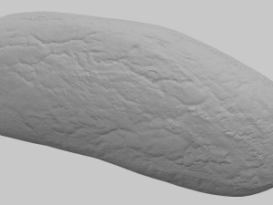 rye bread Model 3D