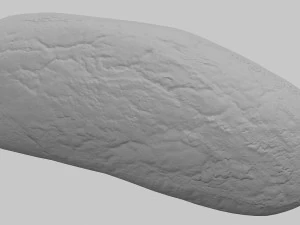 pane di segale Modello 3D